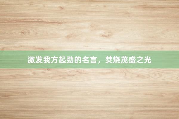 激发我方起劲的名言，焚烧茂盛之光