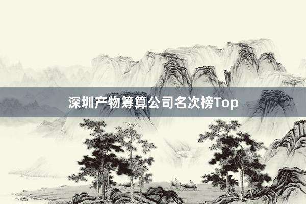 深圳产物筹算公司名次榜Top