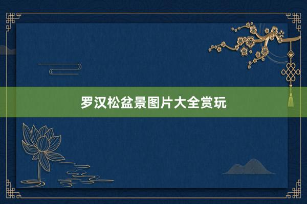 罗汉松盆景图片大全赏玩
