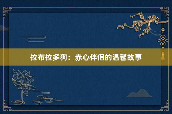 拉布拉多狗：赤心伴侣的温馨故事